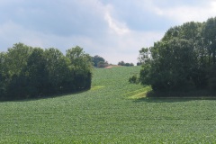 3 Rawston-Farm-burial-mound-long-view